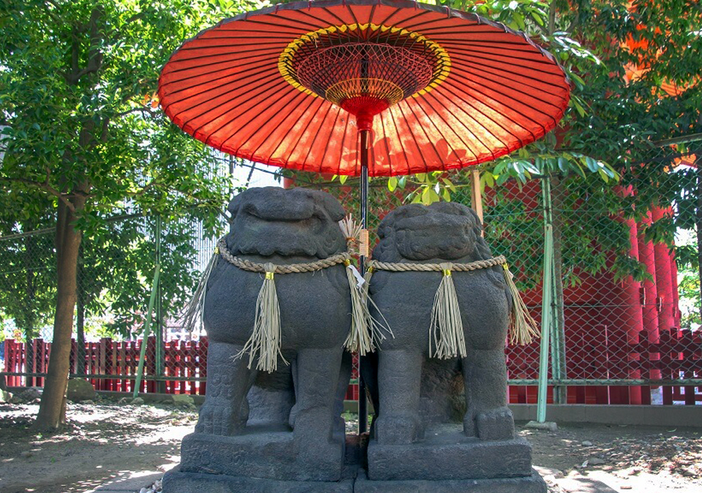 浅草神社の夫婦狛犬