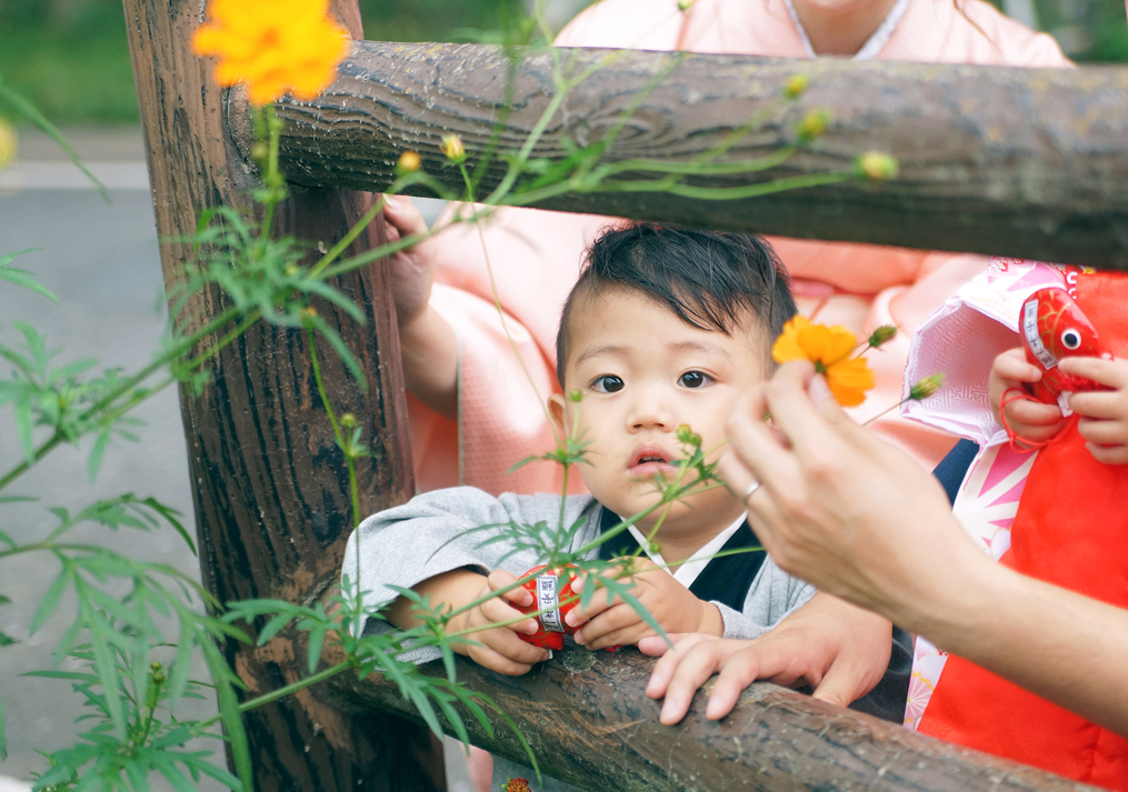 花をみる家族 花をみる家族