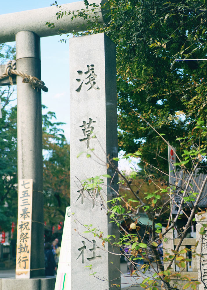 浅草神社の鳥居