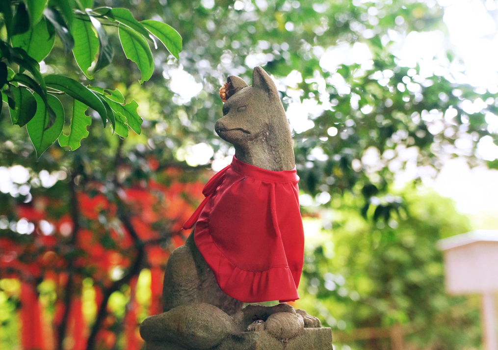 乙女稲荷神社の狐