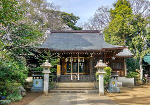 徳丸北野神社・城山熊野神社・赤塚氷川神社|お宮参り・七五三写真 112 城山熊野神社の本殿の写真