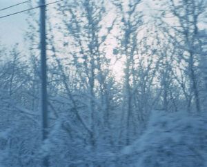 katsuhirotakano photo north nakashibetsu 4